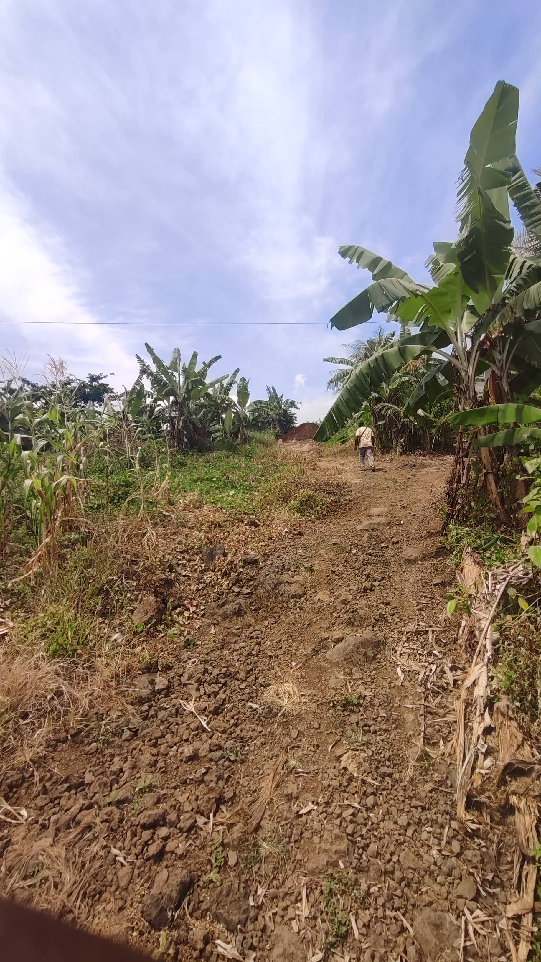 Land for sale  — photo 2