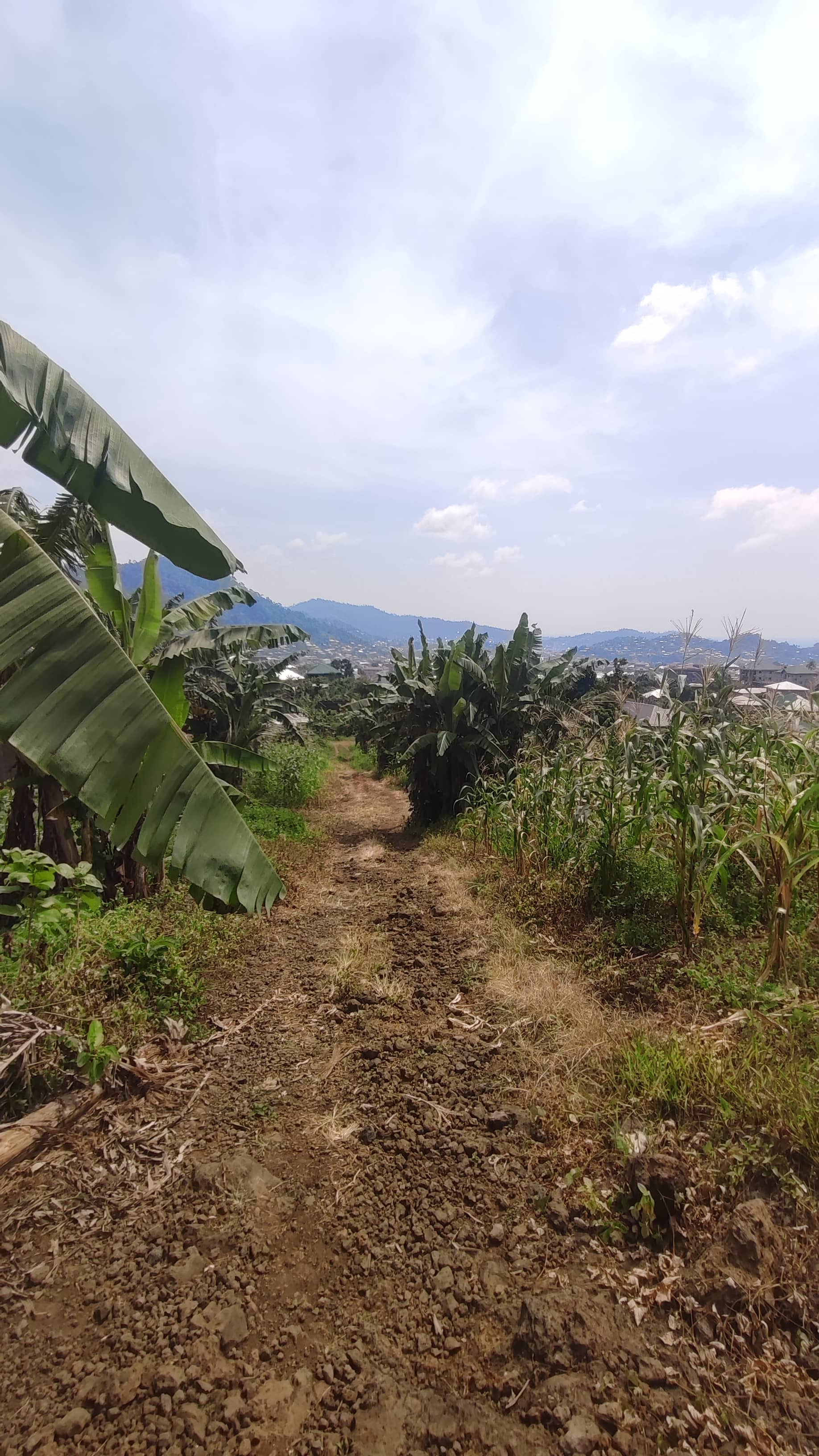 Land for sale  — photo 3