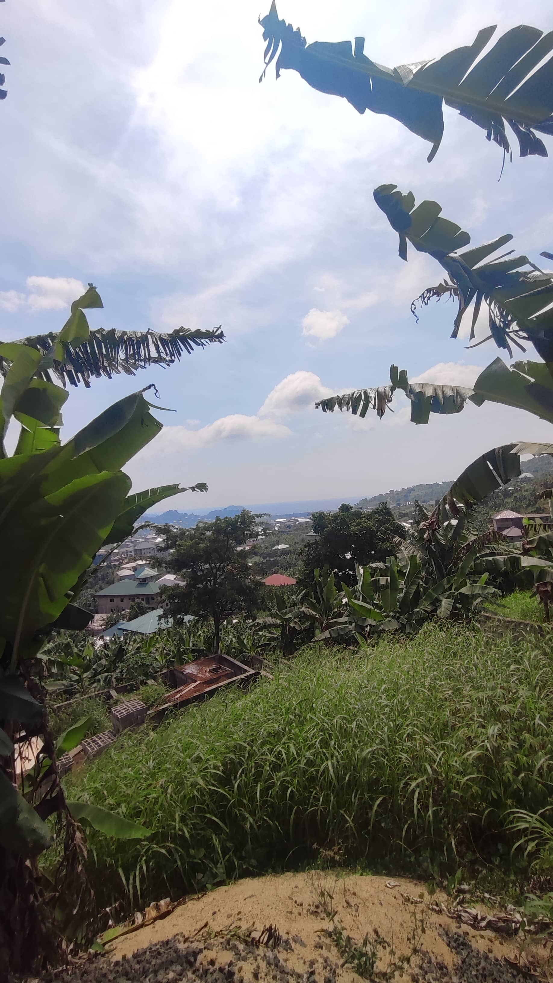 Land for Sale  — photo 3