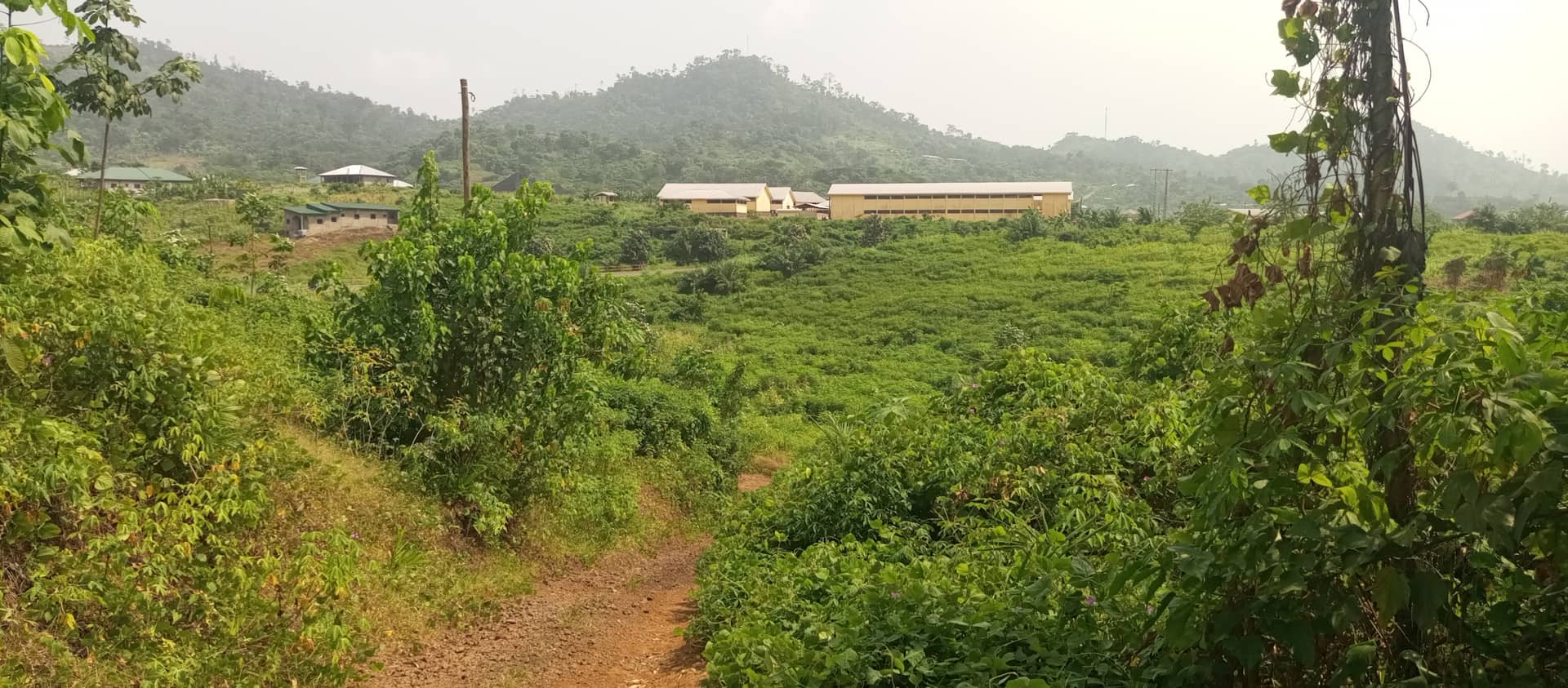 Land at Bimbia opposite the GTHS 