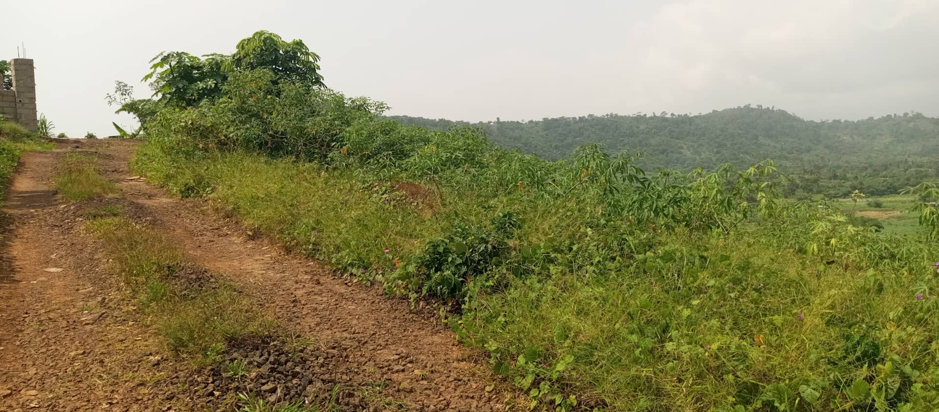 Land at Bimbia opposite the GTHS  — photo 4