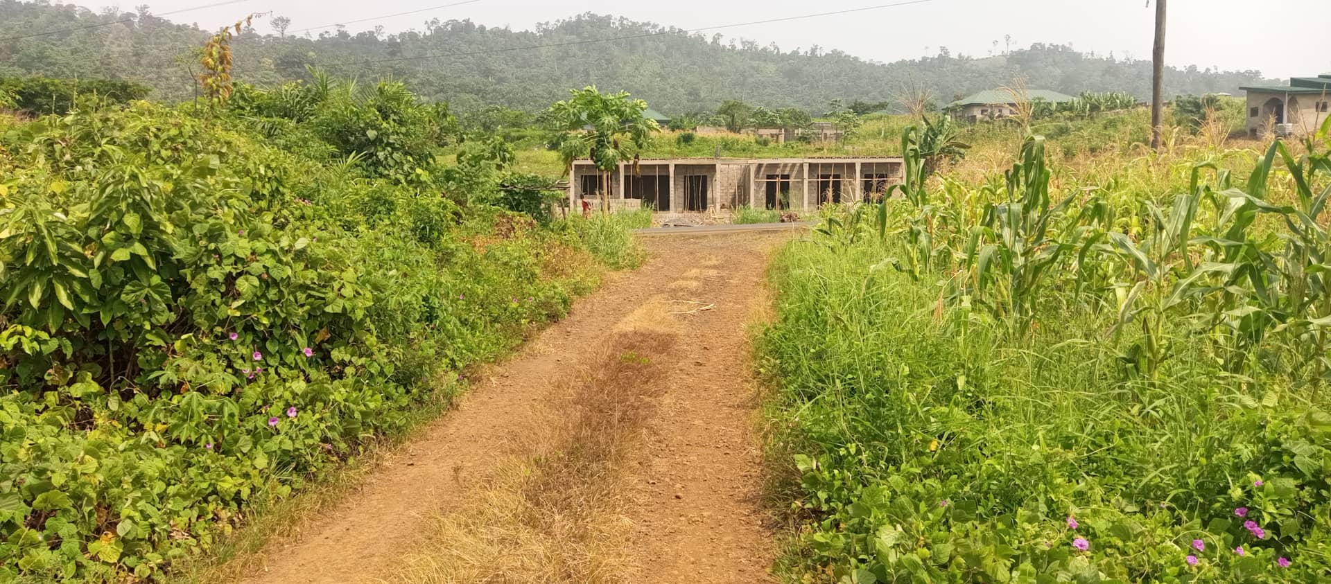 Land at Bimbia opposite the GTHS  — photo 5