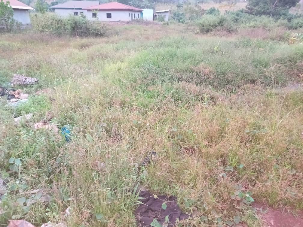 Residential plot (LAND)