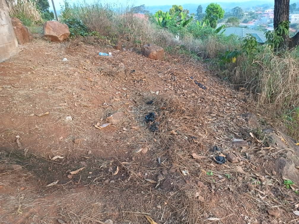 Land For sale — photo 2