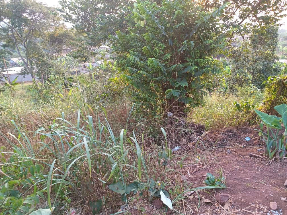 Land For sale — photo 4