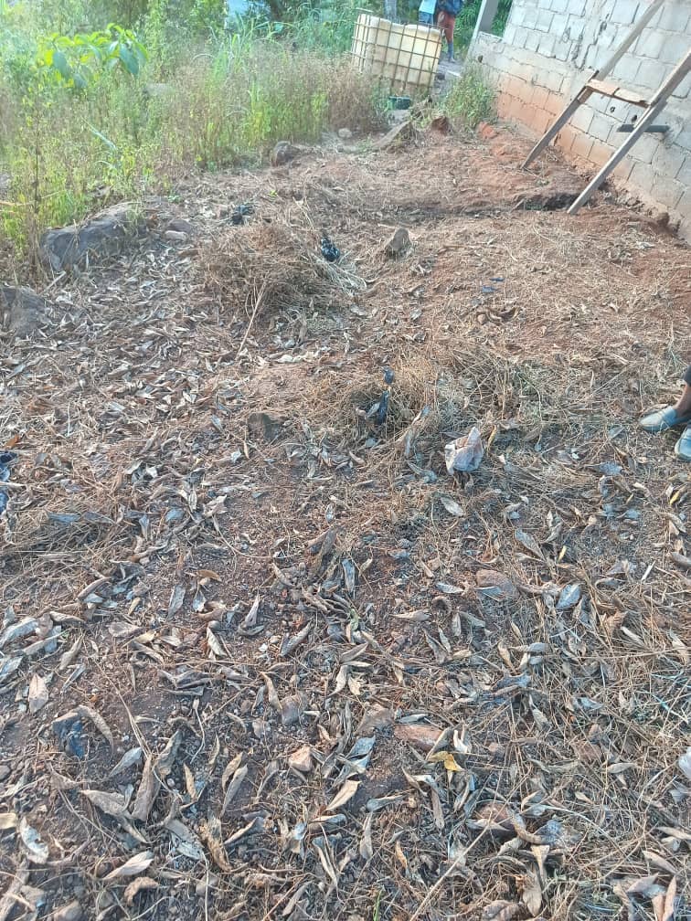 Land For sale — photo 7