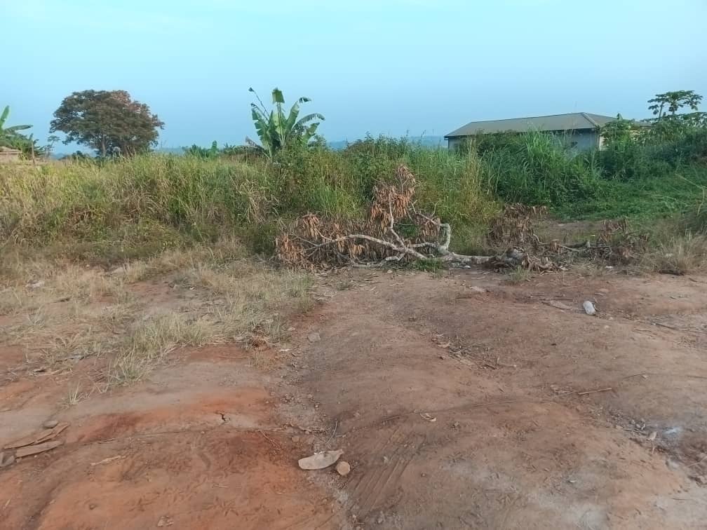 Land For sale — photo 7