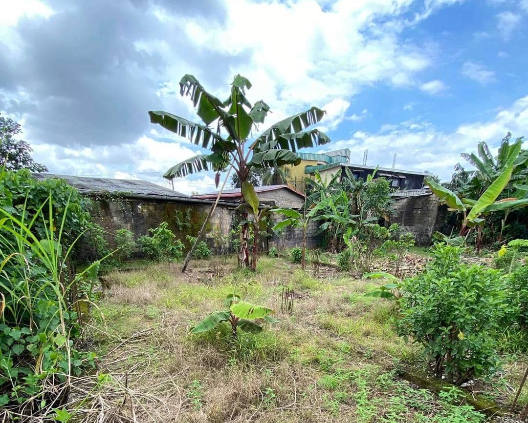 Land for sale 