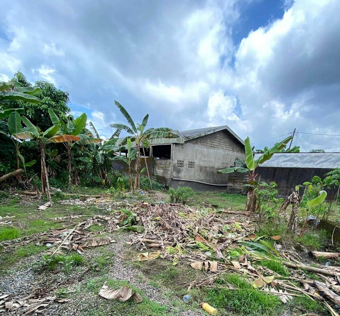 Land for sale  — photo 2