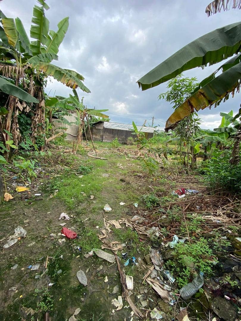 Land for sale  — photo 3