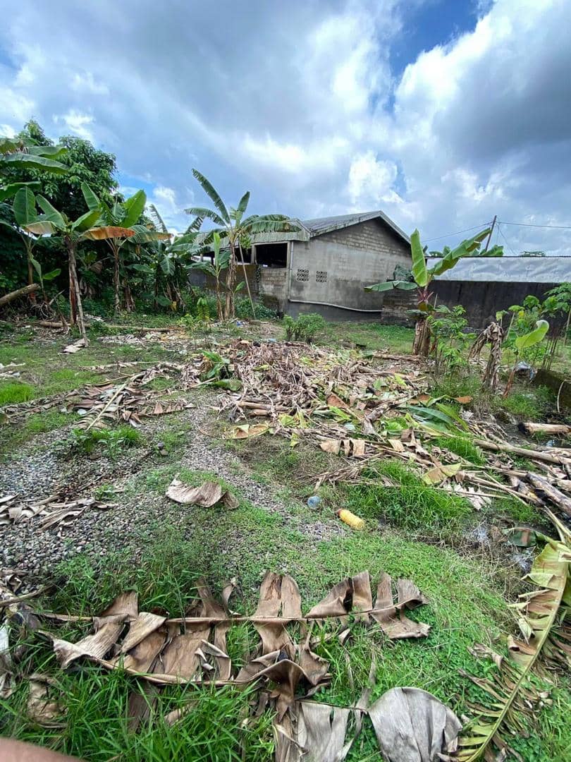 Land for sale  — photo 4