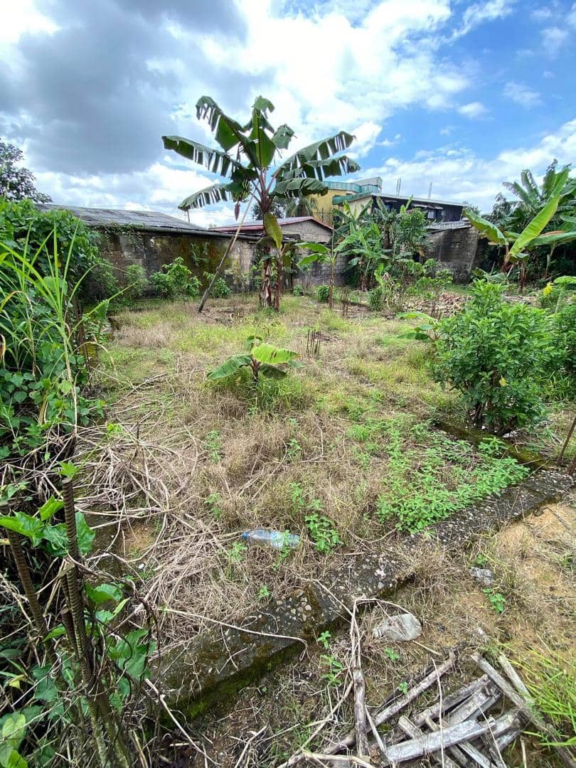 Land for sale  — photo 5