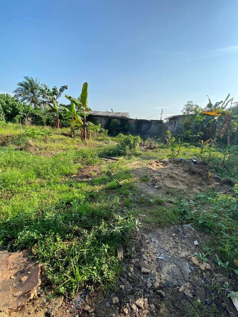 Land for sale  — photo 6