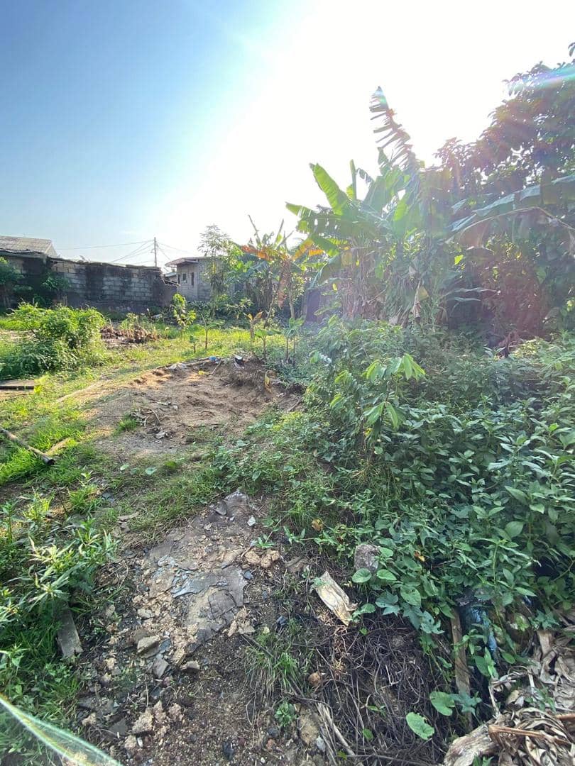 Land for sale  — photo 7