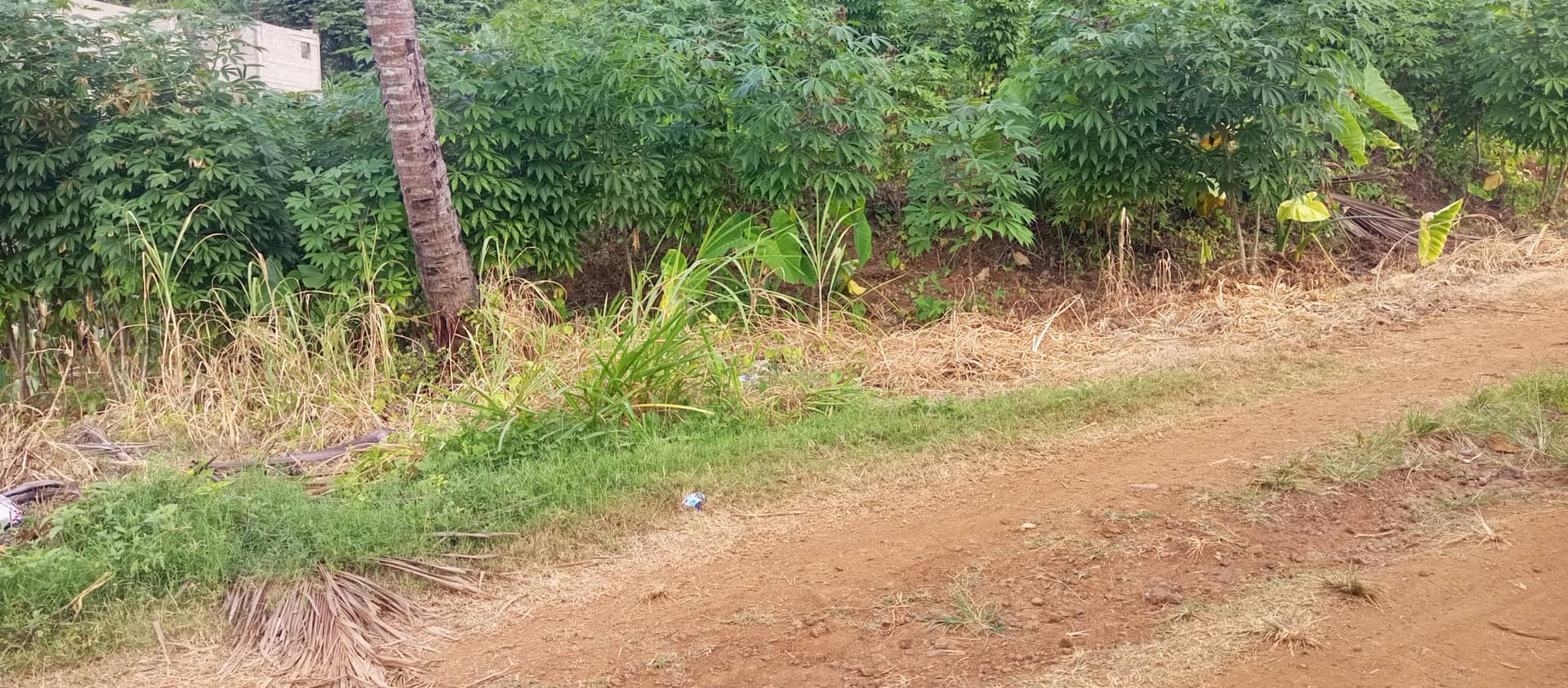 500m² land for sale — photo 2