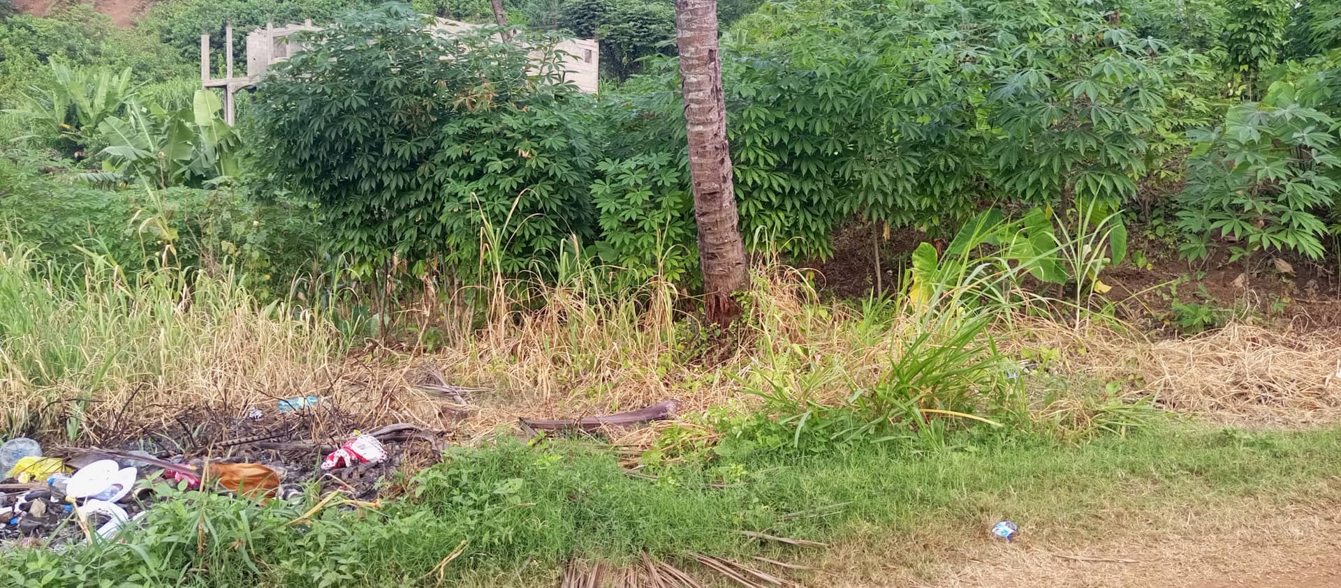 500m² land for sale — photo 3