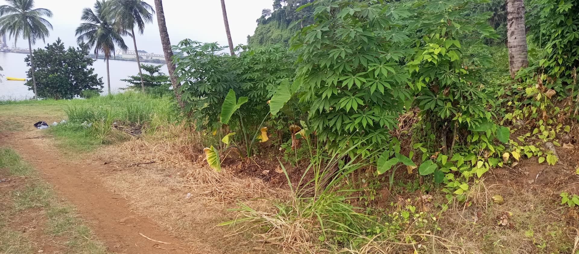 500m² land for sale — photo 4