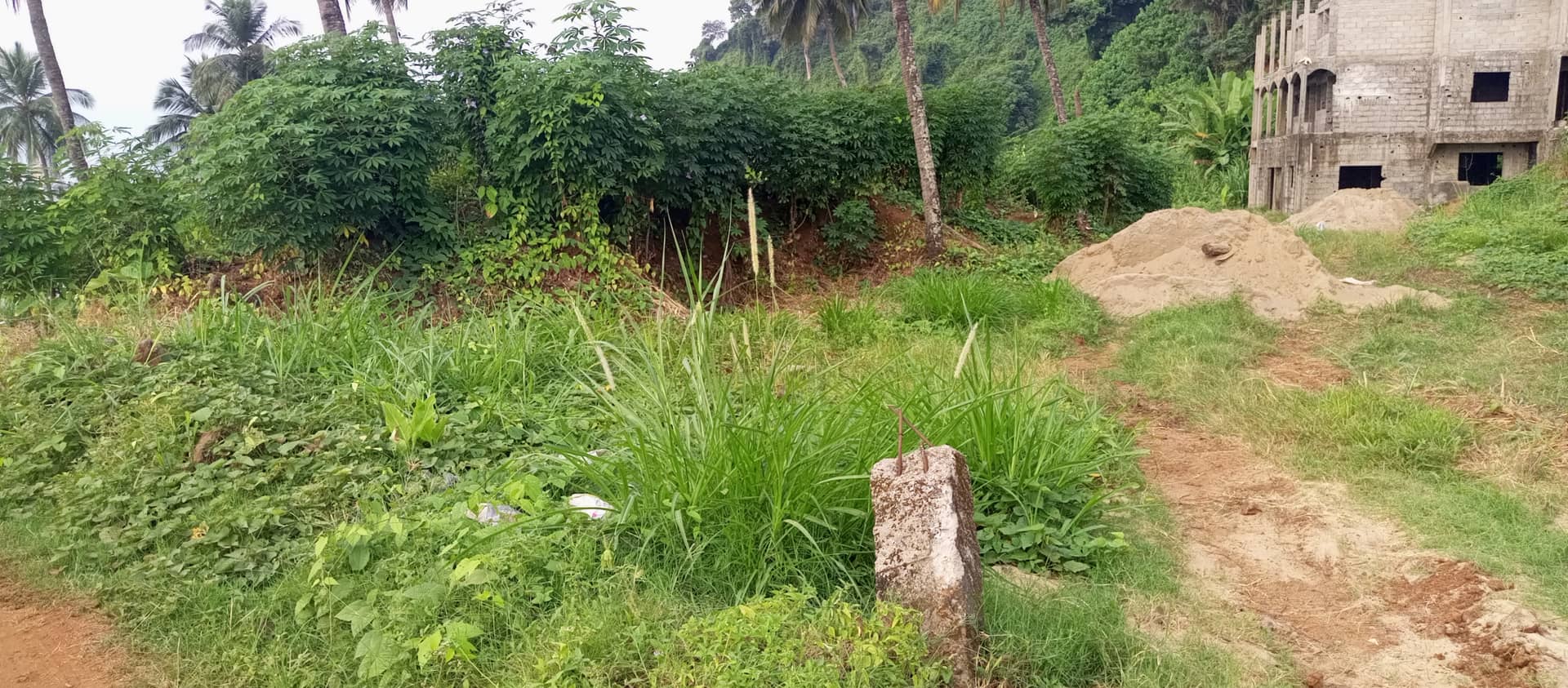 500m² land for sale — photo 5