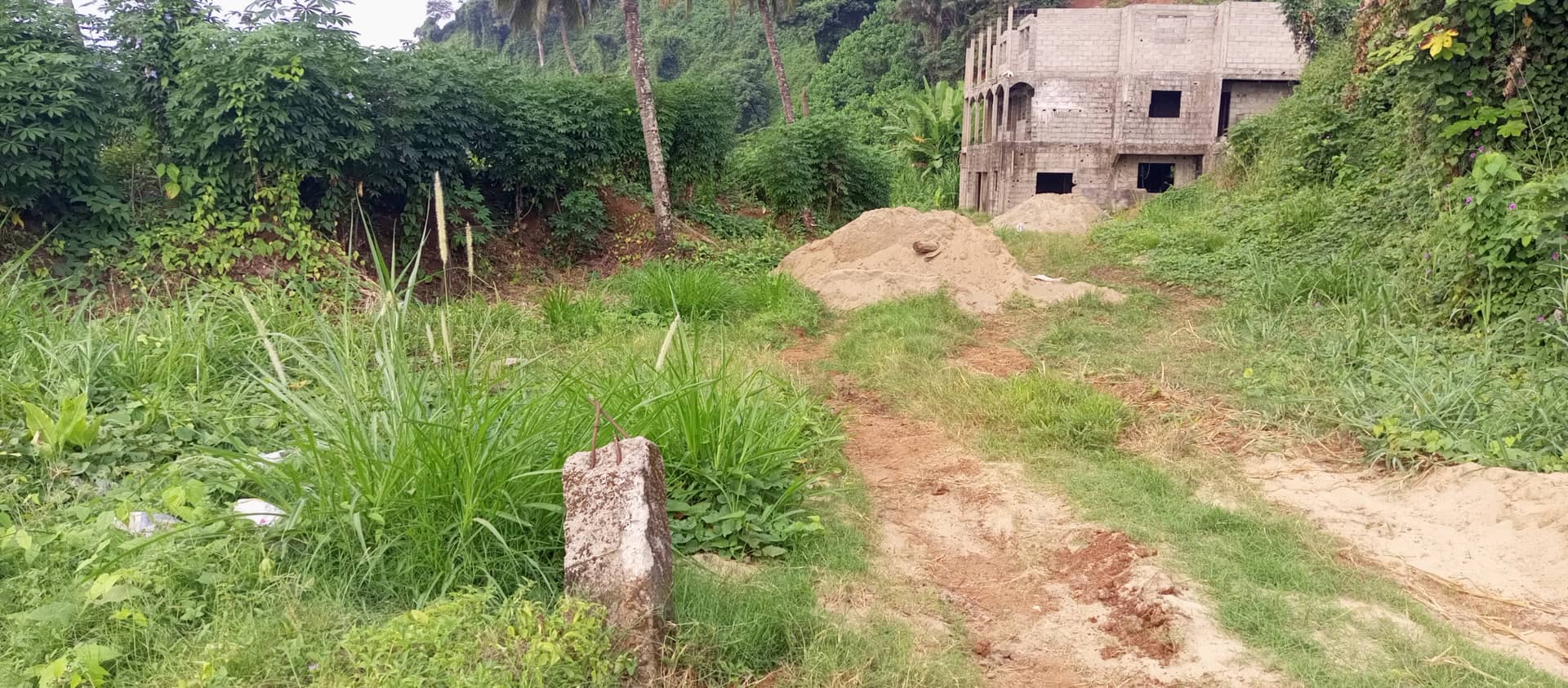 500m² land for sale — photo 6
