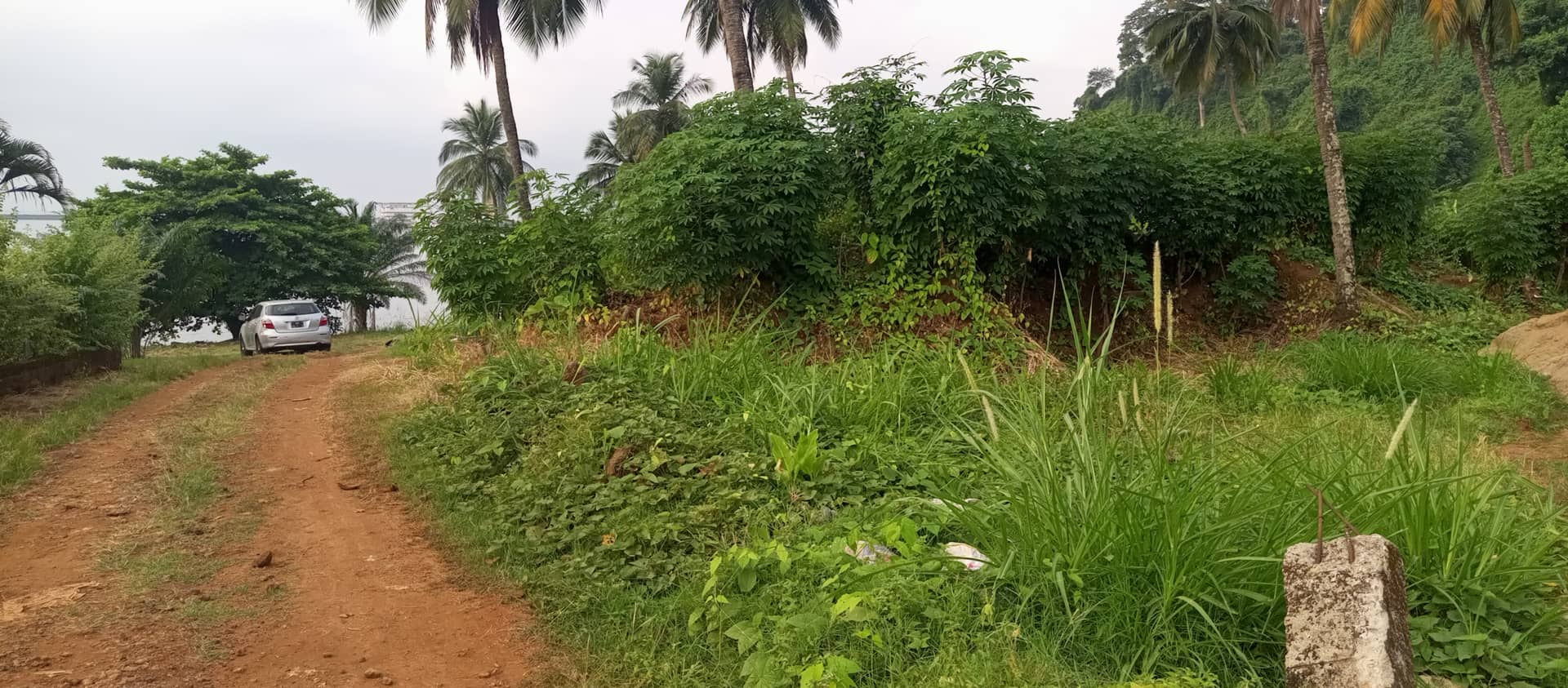 500m² land for sale — photo 7