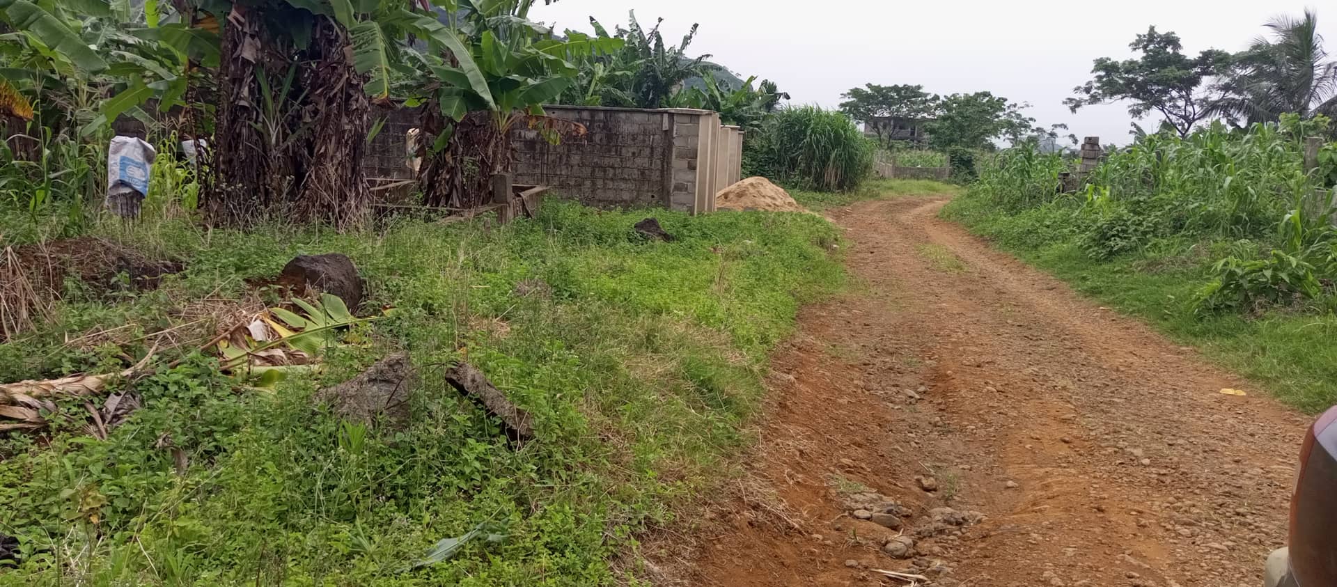 Land For sale — photo 2