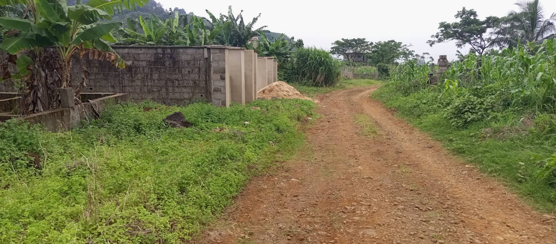 Land For sale — photo 5