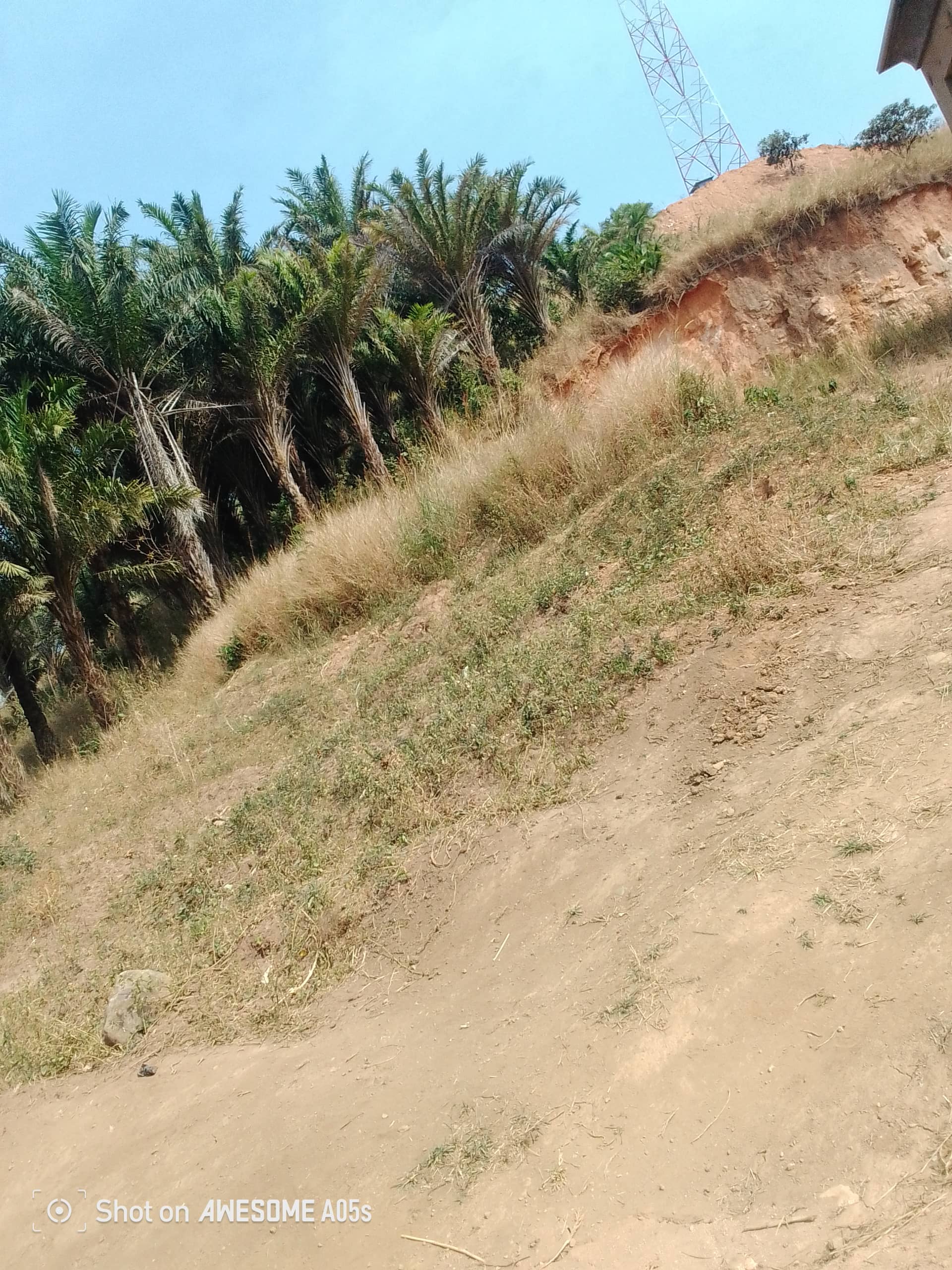 Cheap land at mile 4 