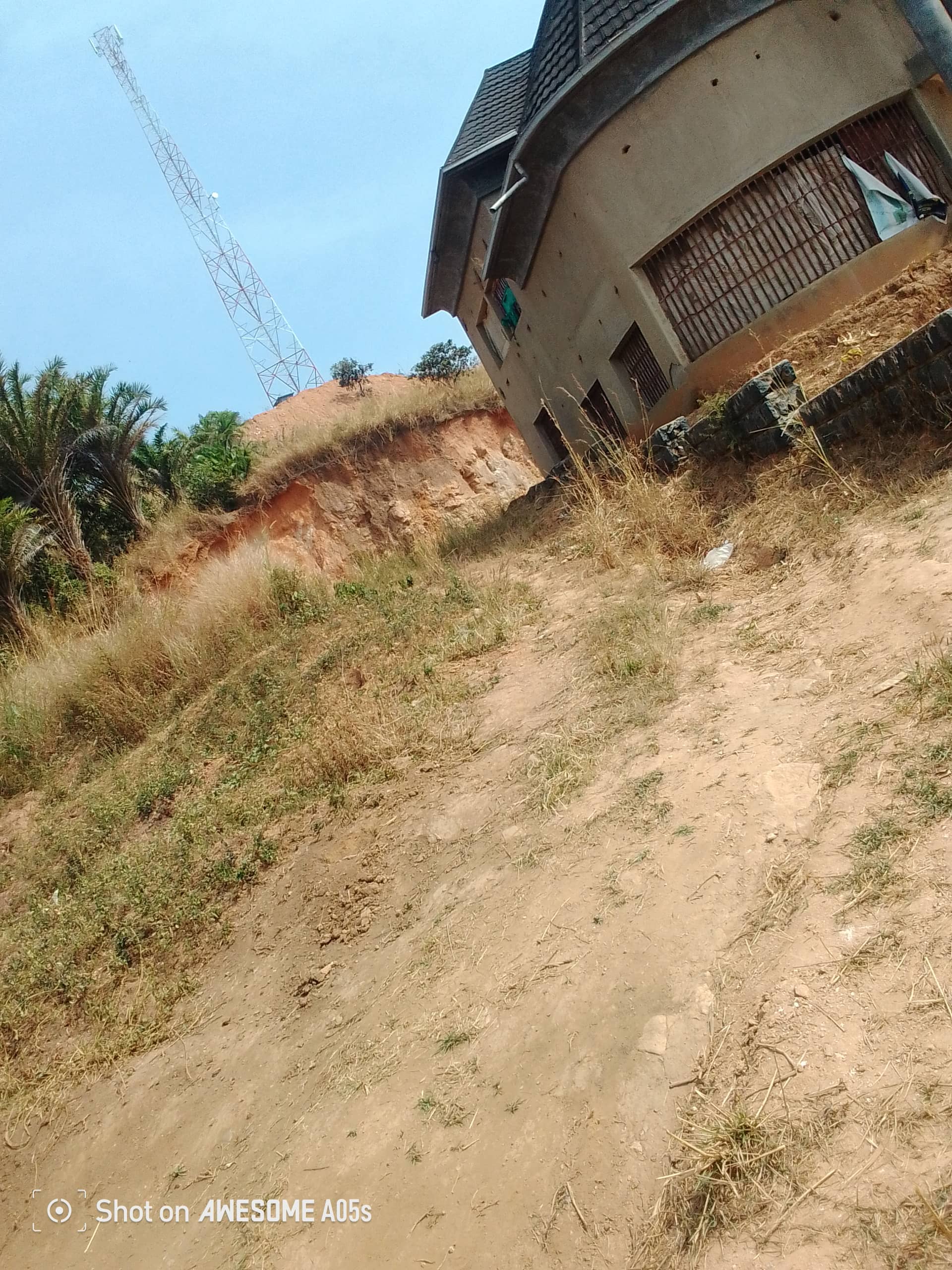 Cheap land at mile 4  — photo 3