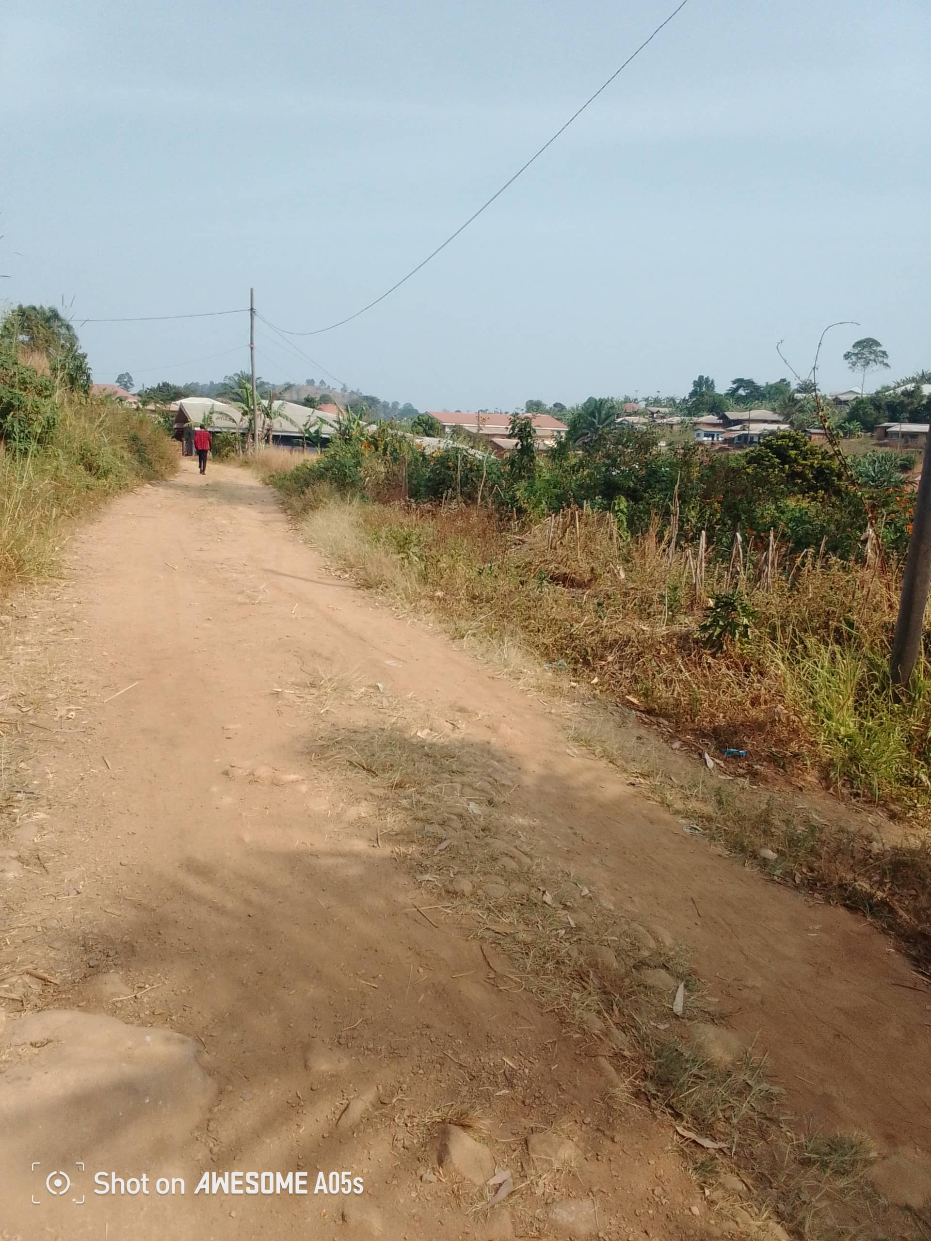 Cheap land at mile 4  — photo 4