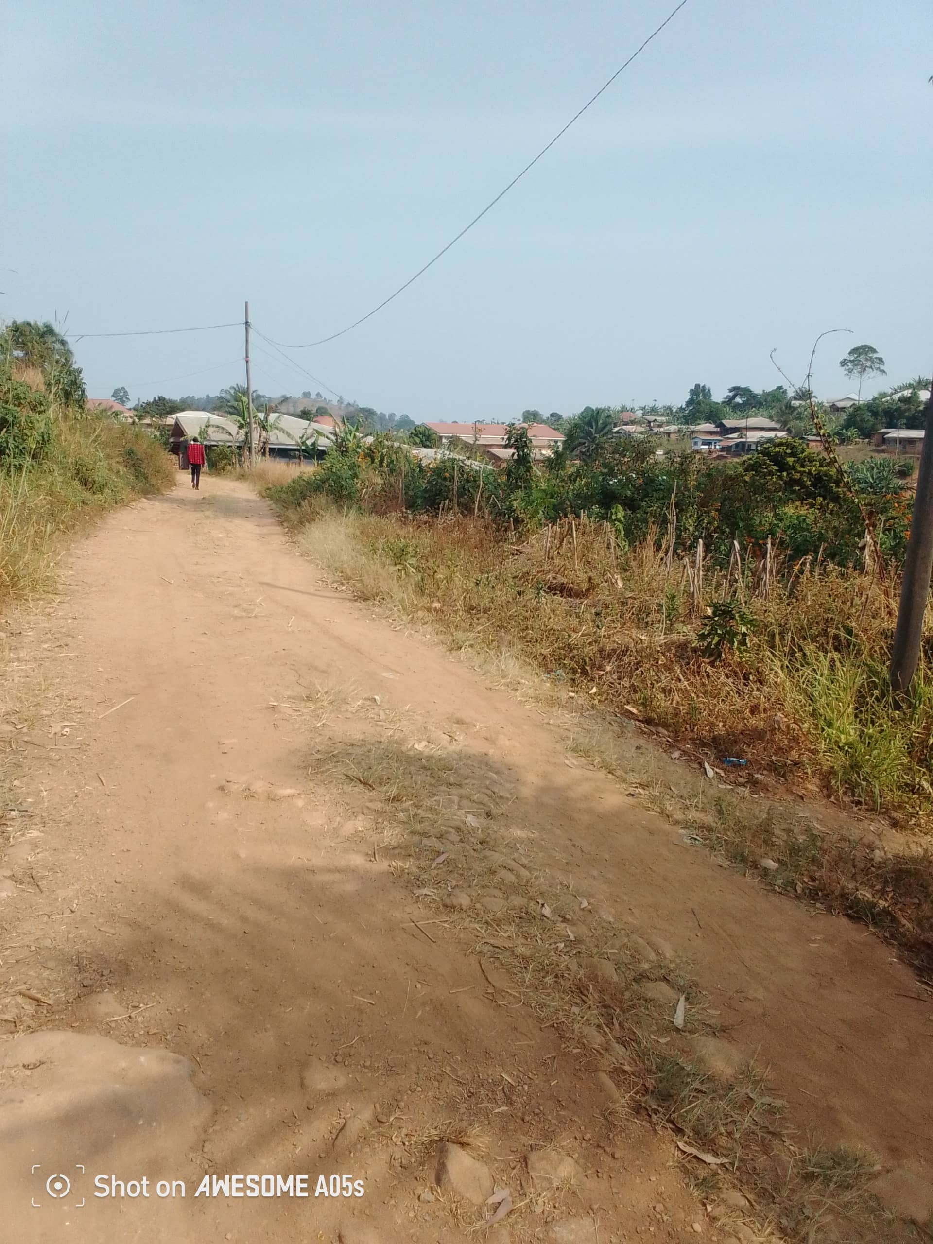 Cheap land at mile 4  — photo 5