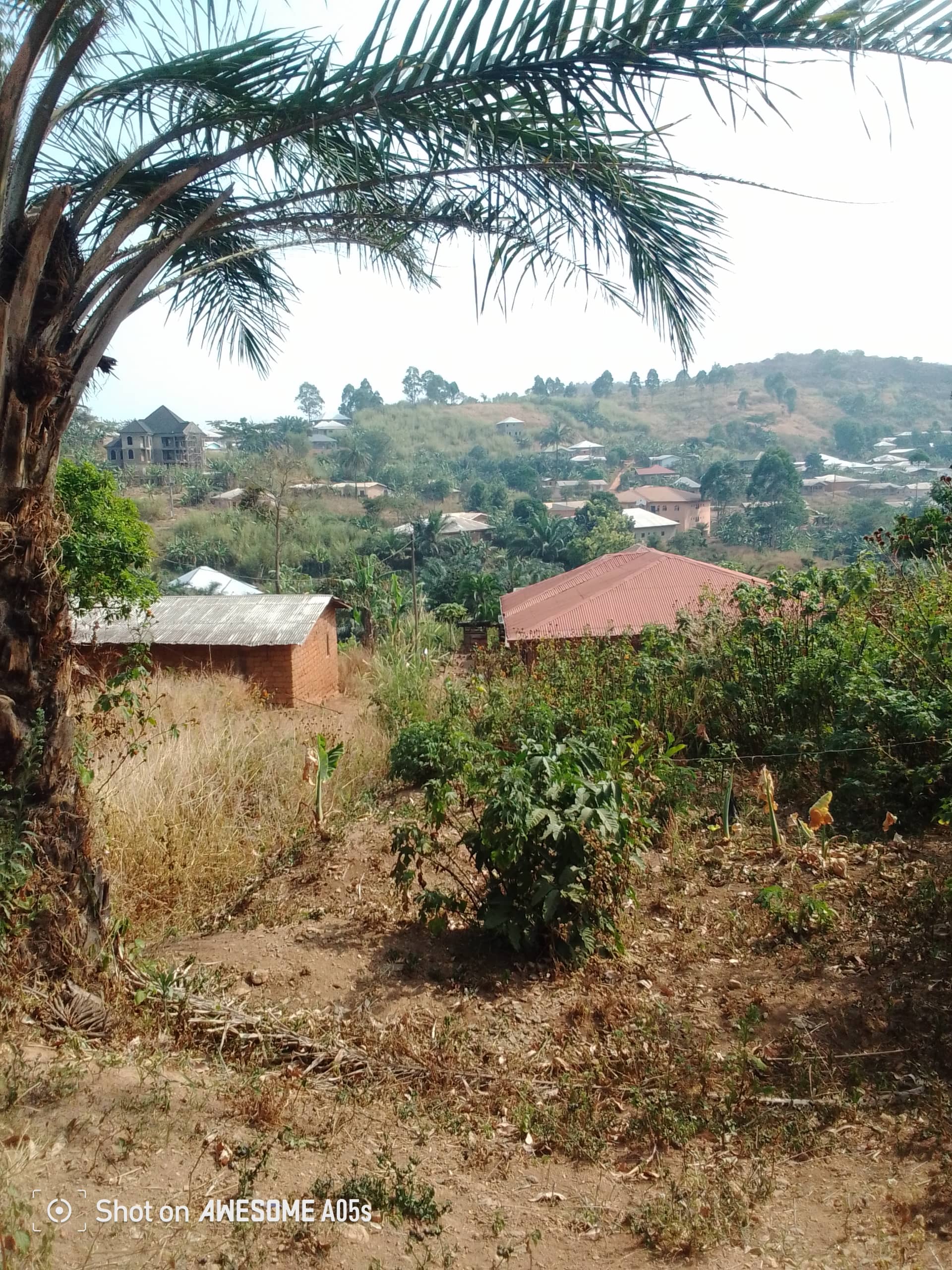 Cheap land at mile 4  — photo 7