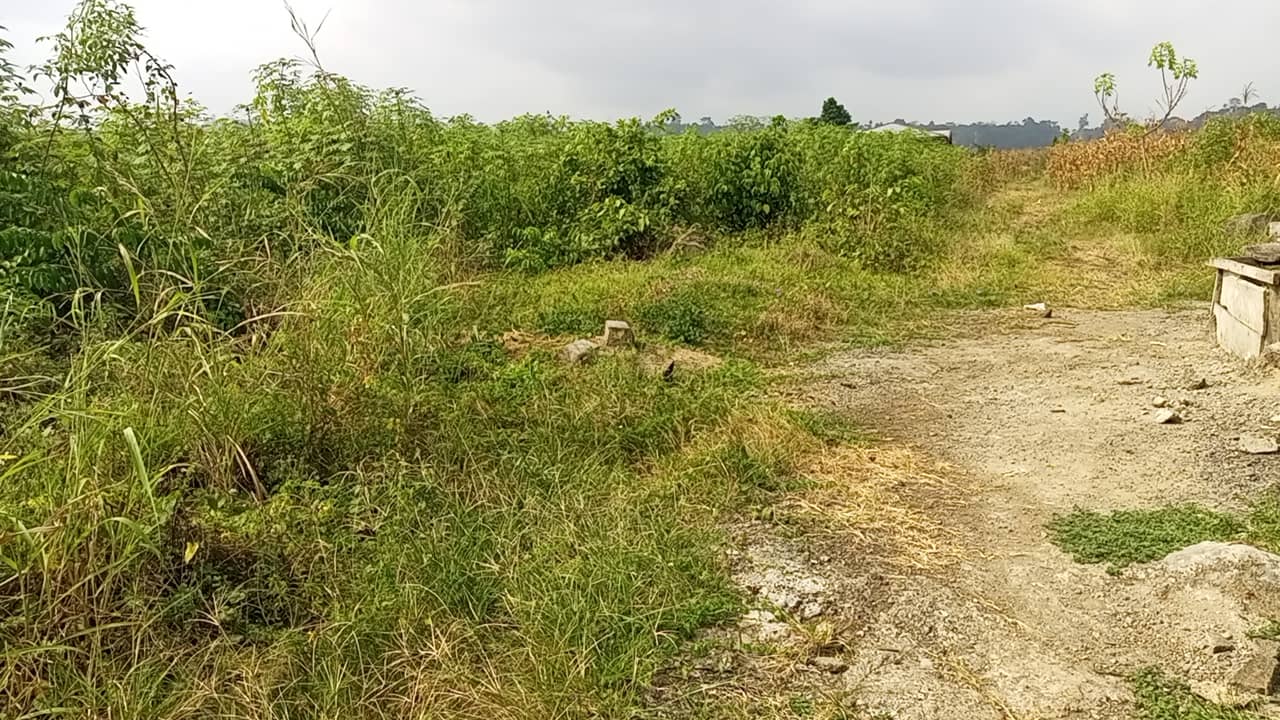 400m² at OMBE for sale — photo 3
