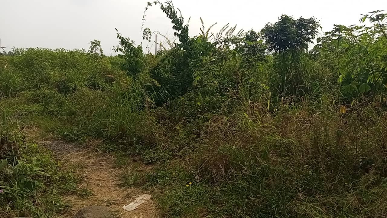 400m² at OMBE for sale — photo 4