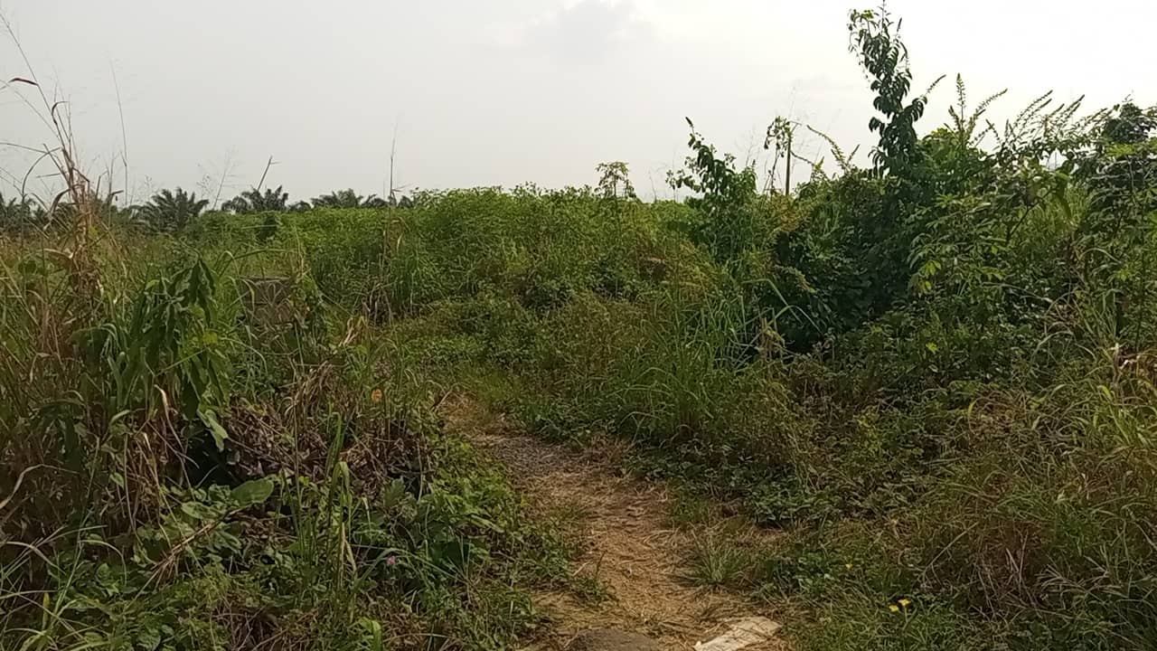 400m² at OMBE for sale — photo 5