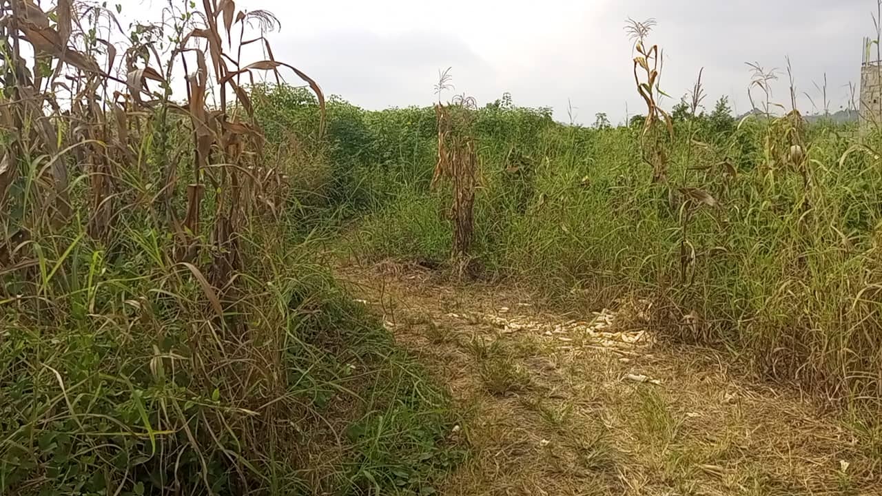 400m² at OMBE for sale — photo 6