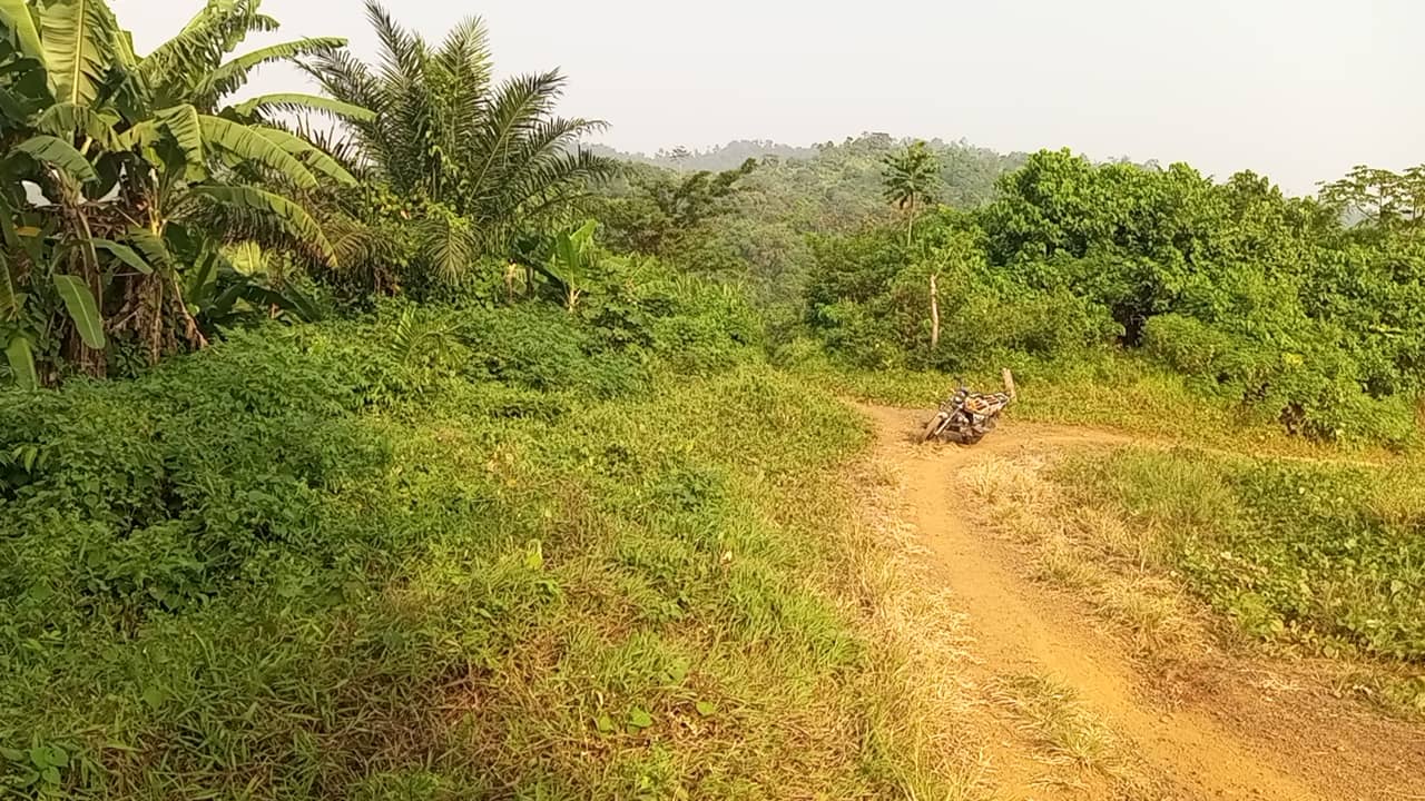 10 plots of 1000m² with a general land title land