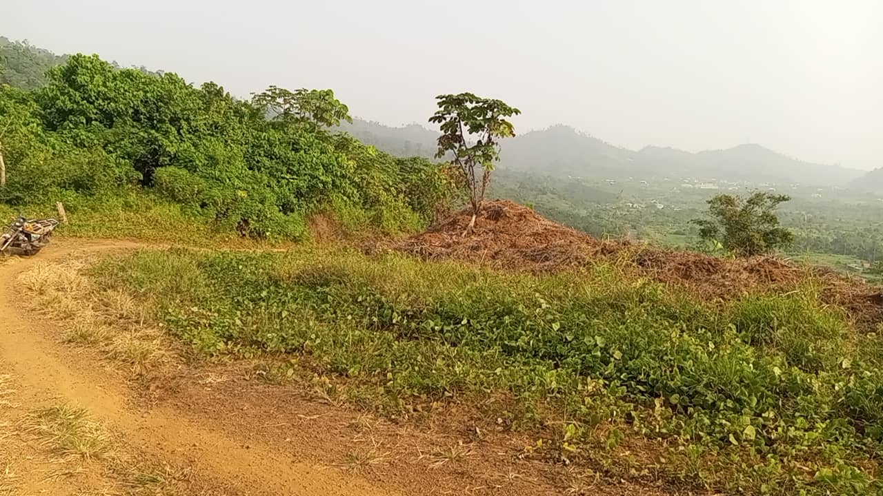 10 plots of 1000m² with a general land title land — photo 2