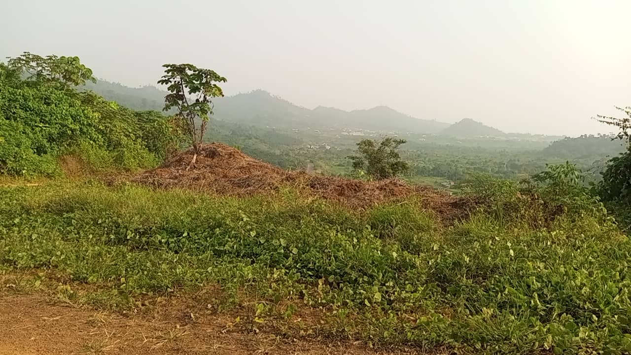 10 plots of 1000m² with a general land title land — photo 7