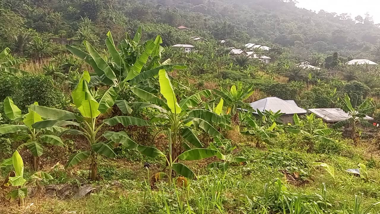 800m² for sale at Motondo hills on your way to bimbia