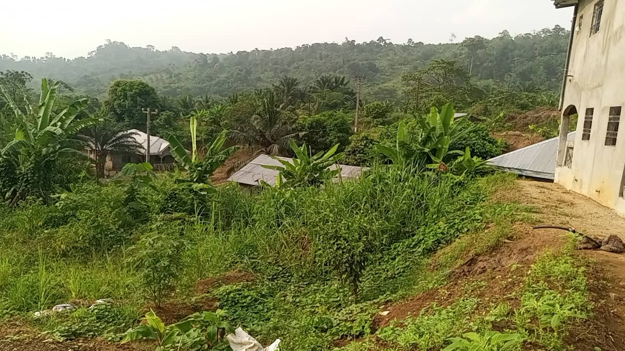 800m² for sale at Motondo hills on your way to bimbia — photo 4