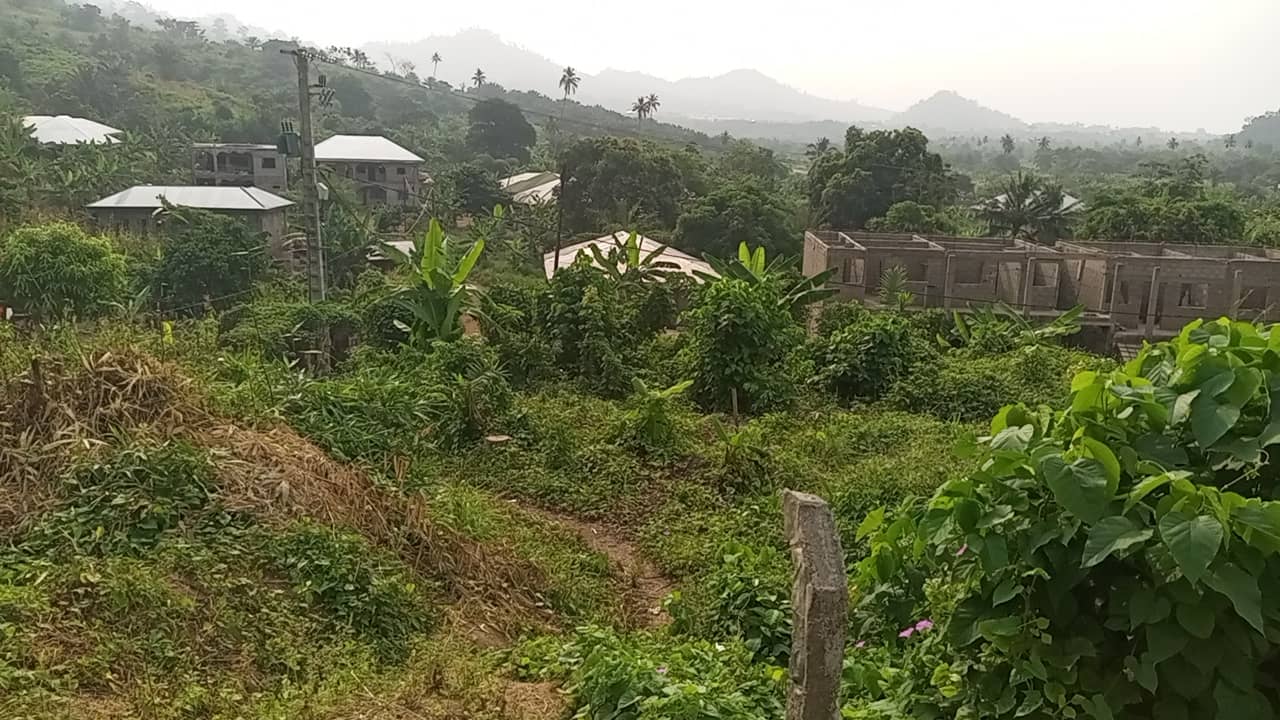 800m² for sale at Motondo hills on your way to bimbia — photo 5