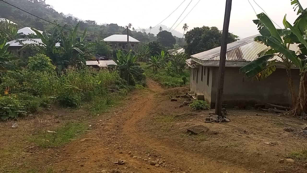800m² for sale at Motondo hills on your way to bimbia — photo 7