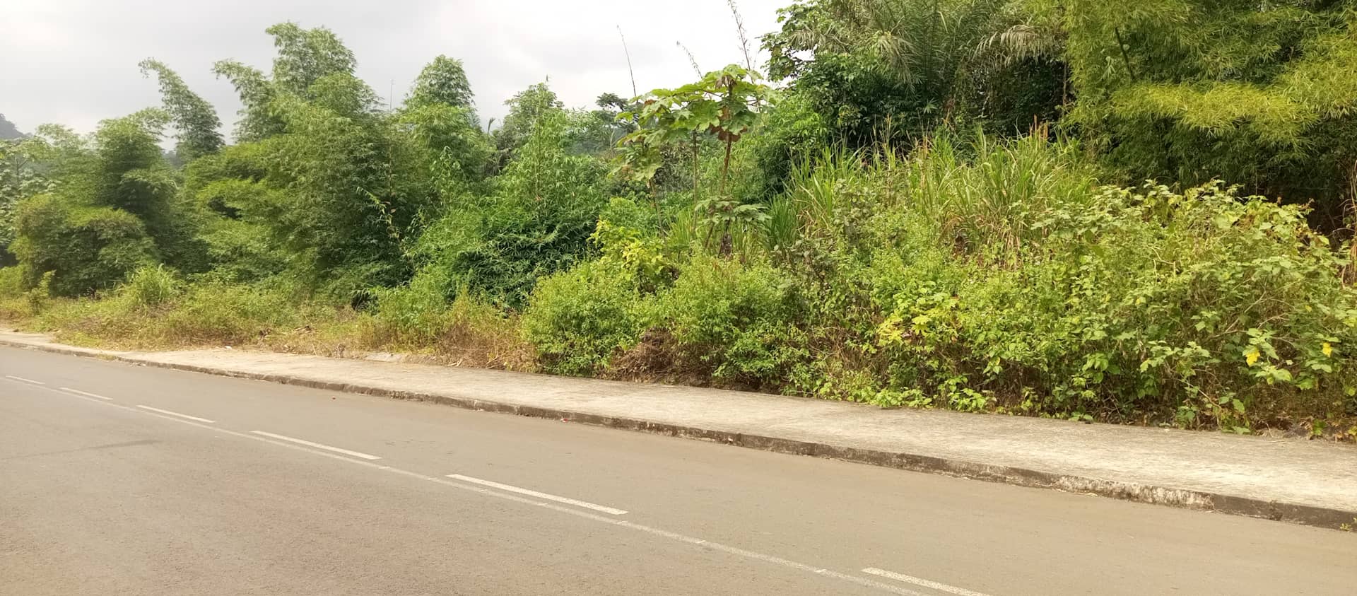 Plots of 500m² with land title at Bojongo for sale — photo 3