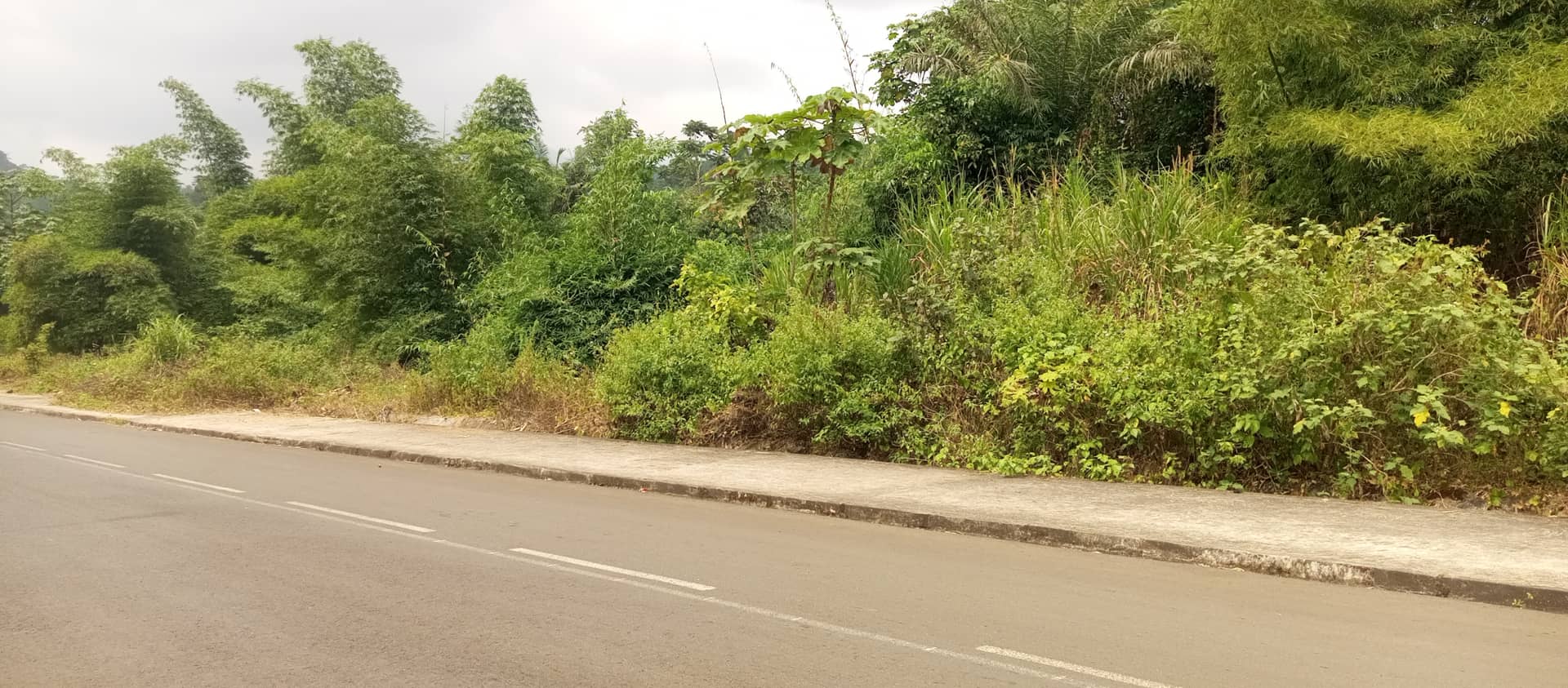 Plots of 500m² with land title at Bojongo for sale — photo 5