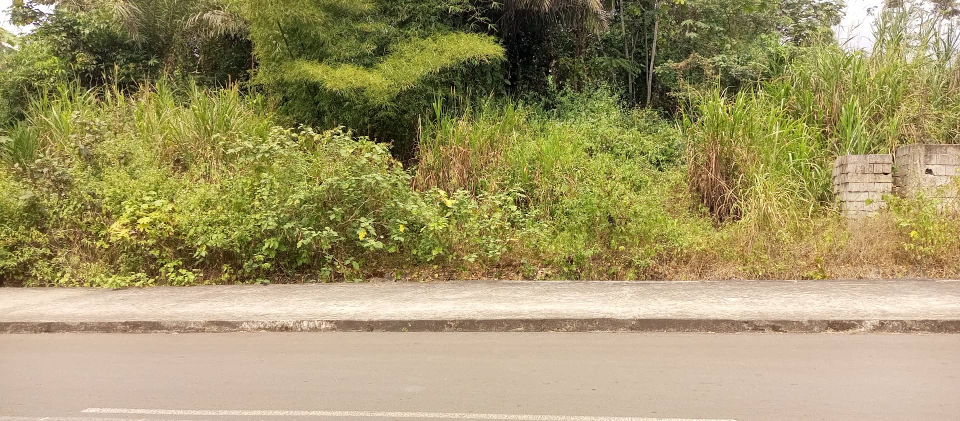 Plots of 500m² with land title at Bojongo for sale — photo 6