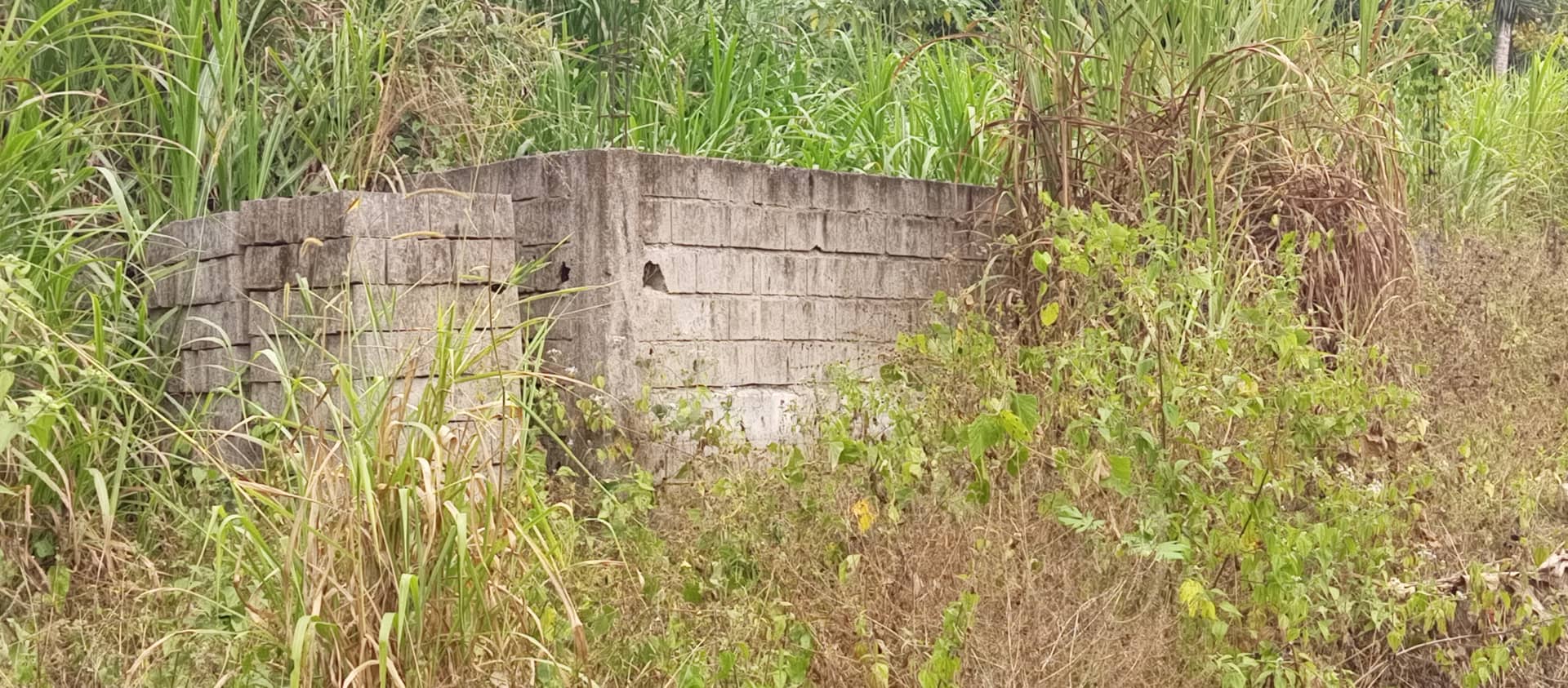 Plots of 500m² with land title at Bojongo for sale — photo 7