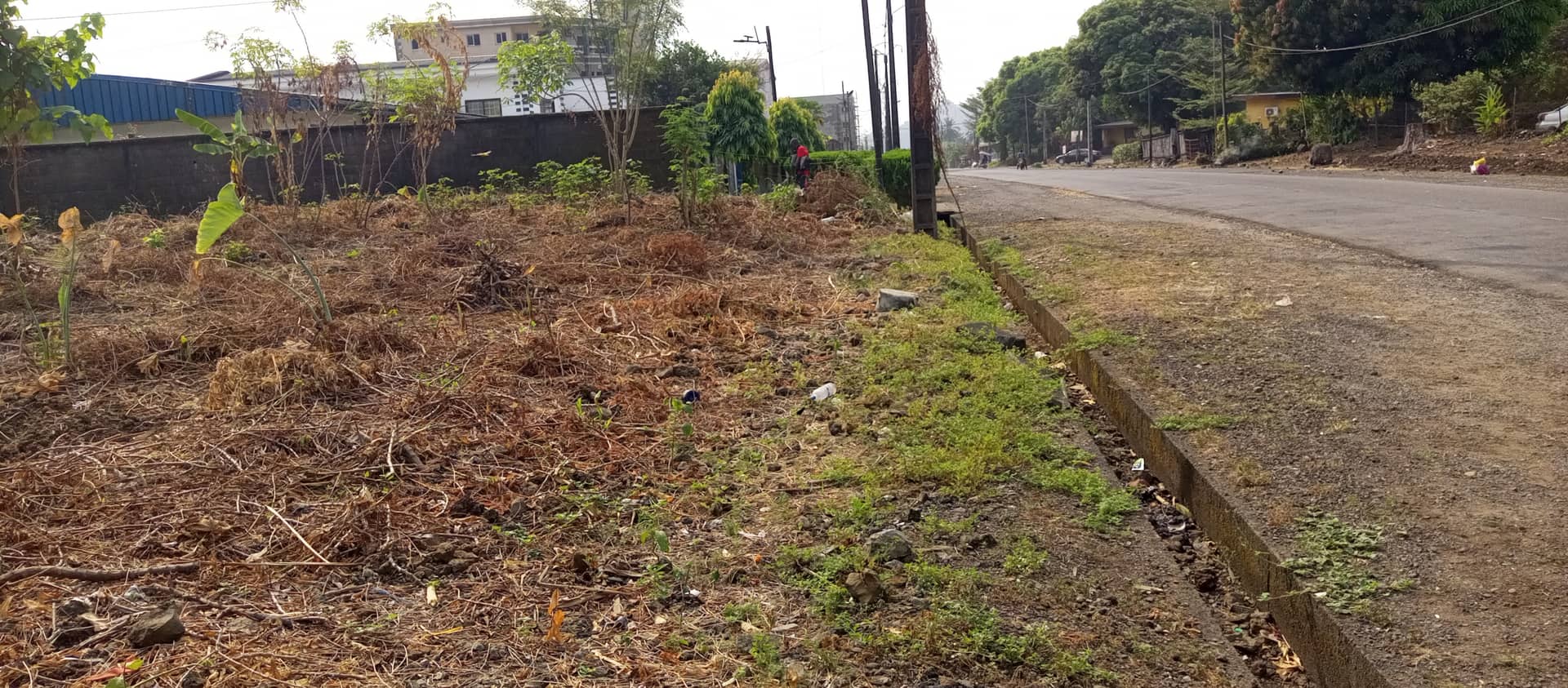 800m² at cité sic Limbe with land title