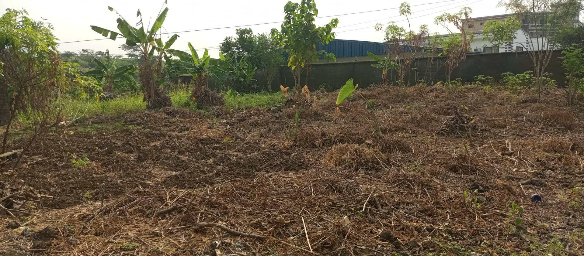 800m² at cité sic Limbe with land title — photo 3
