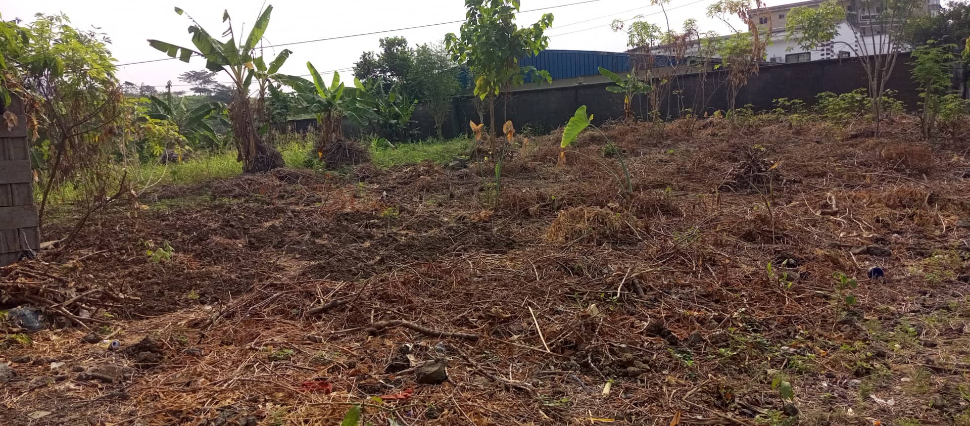 800m² at cité sic Limbe with land title — photo 4