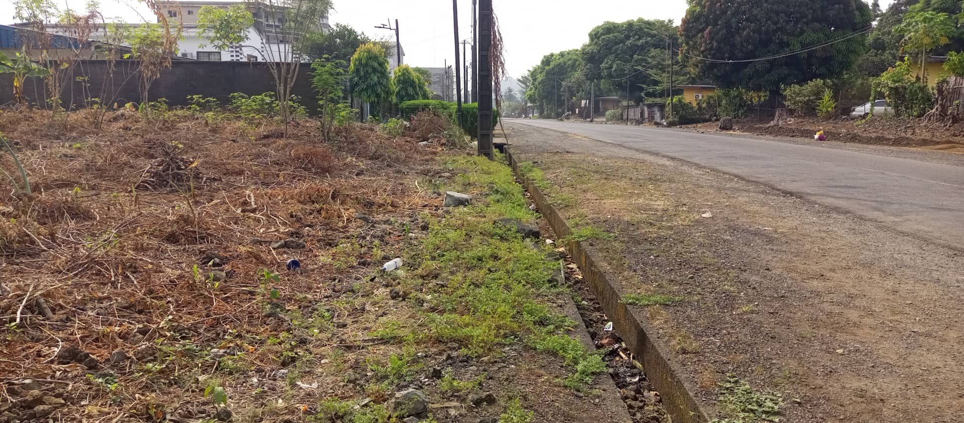 800m² at cité sic Limbe with land title — photo 7